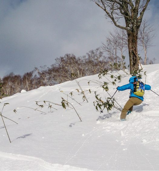 When is the best time to go skiing in Niseko, Japan