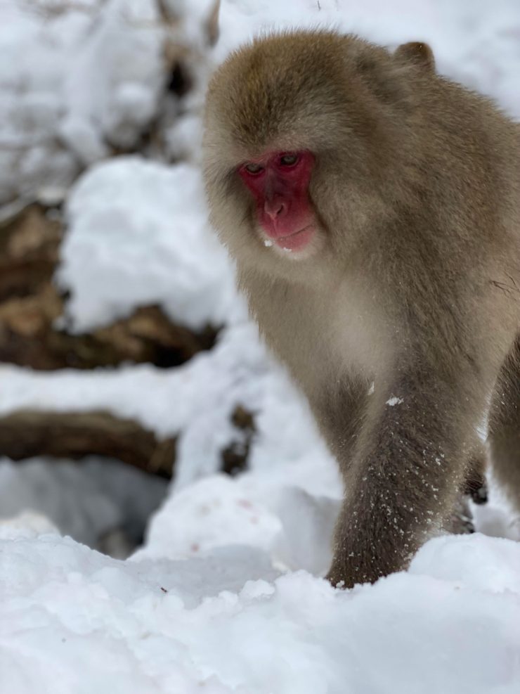 How to spend a perfect day in Madarao with Active Life General Manager ...